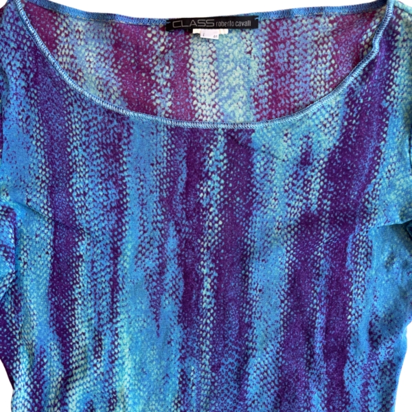 Y2K Class Roberto Cavalli Printed Mesh Top - Image 2
